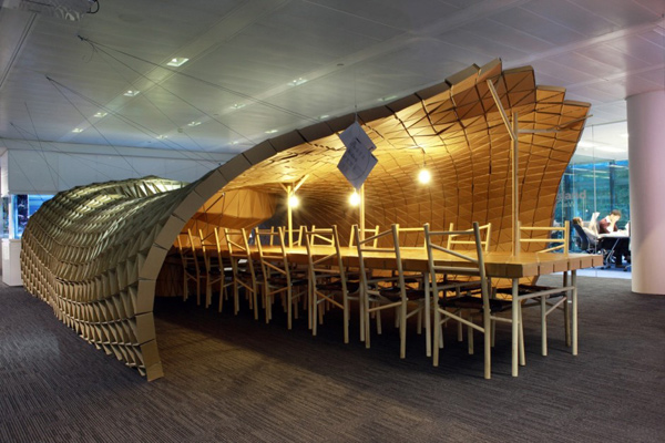 pupa-