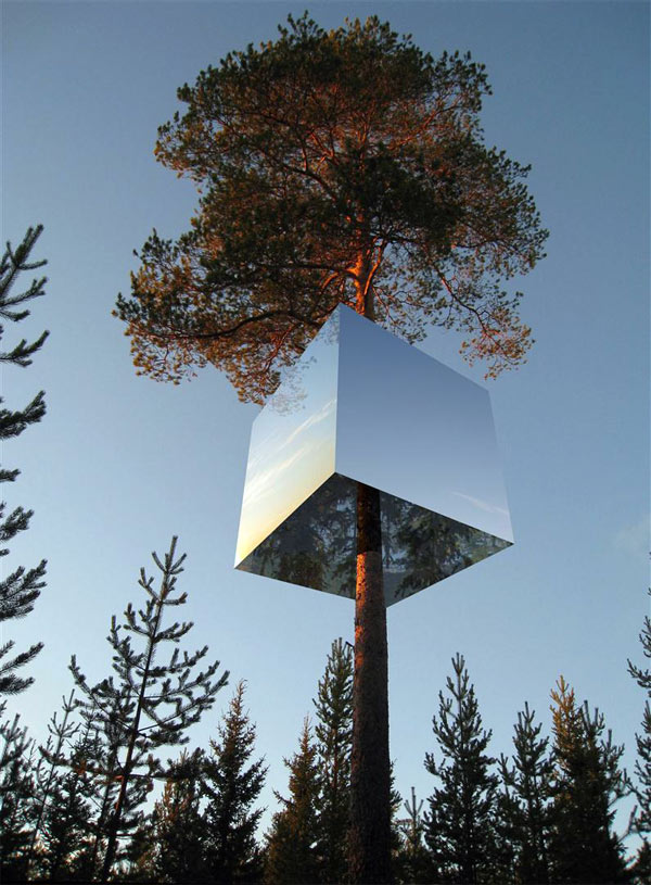 Hotel Tree_