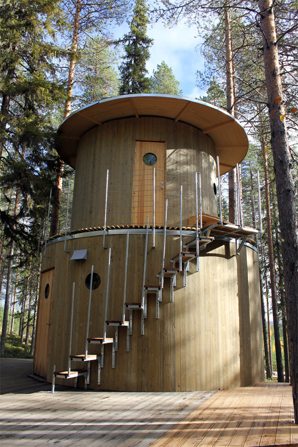 Tree Sauna_