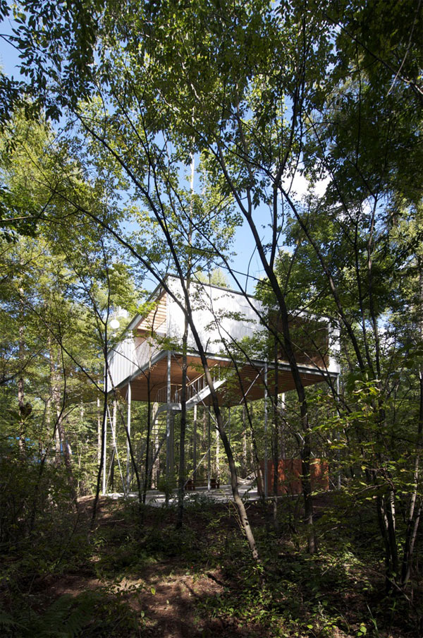 Pilotis, Hasegawa & Associates-
