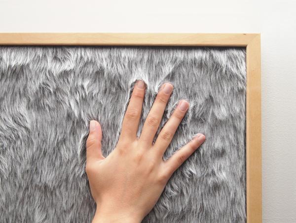 Dedo board, Gonçalo Campos, 2010.