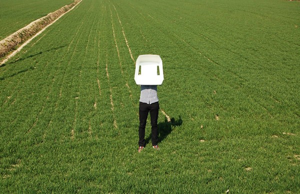 Y X