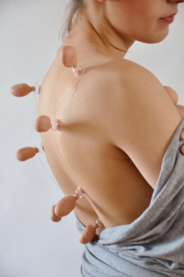 Hosting Parasites, Kathy Ludwing, 2011.