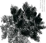 Poster design, the fragrance of Chinese culture, Wang Zi.