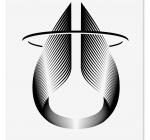 Variaciones gráficas y propuesta de tratamiento de logotipo para Nixon, 2009.