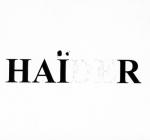 Hate / Haider, in reference to the policies of the Austrian Chancellor.