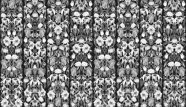 archives studio job nlxl