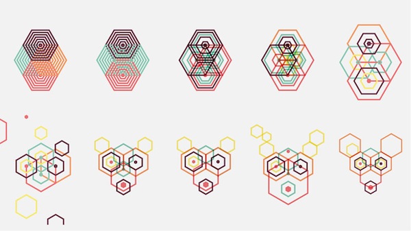 hexagon animals