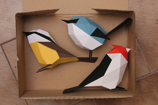 aves de papel guardabosques