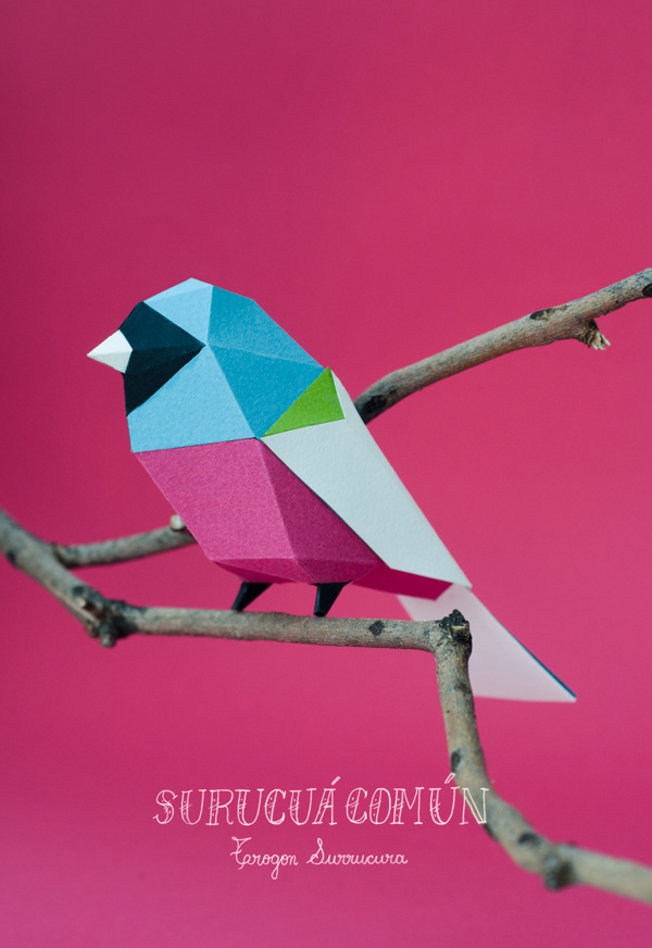 aves de papel guardabosques