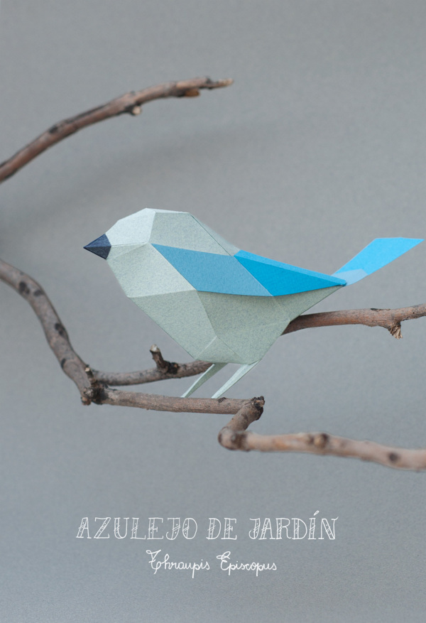 aves de papel guardabosques