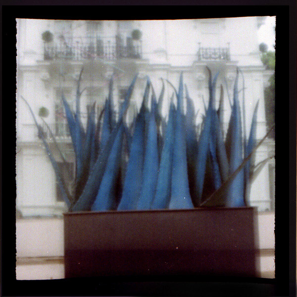 Viddy de The Pop-Up Pinhole Company Viddy de The Pop-Up Pinhole Company