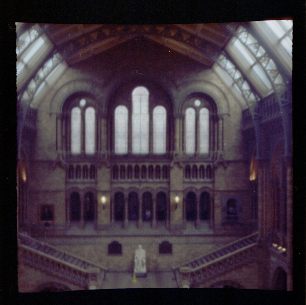 Viddy de The Pop-Up Pinhole Company Viddy de The Pop-Up Pinhole Company