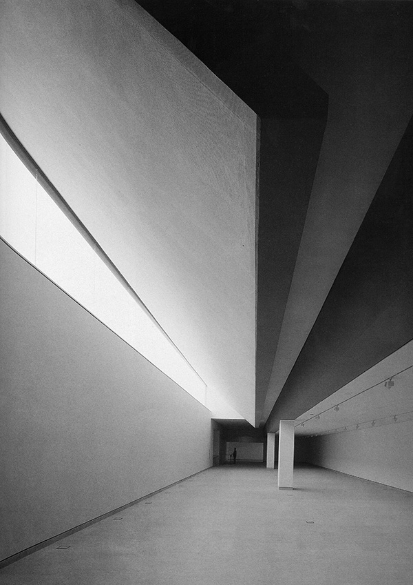 juan navarro baldeweg, la gran exposición