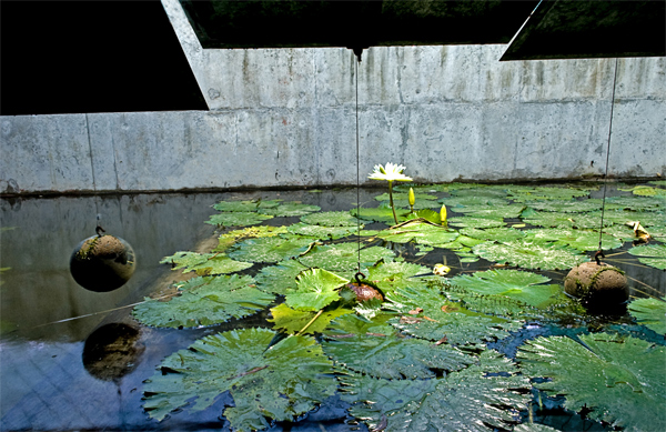 Refugio de hormigón y agua de Matharoo Associates en India