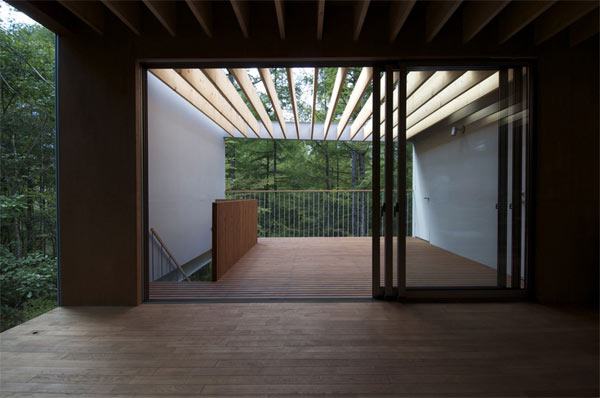 Pilotis in a forest, Go Hasegawa & Associates