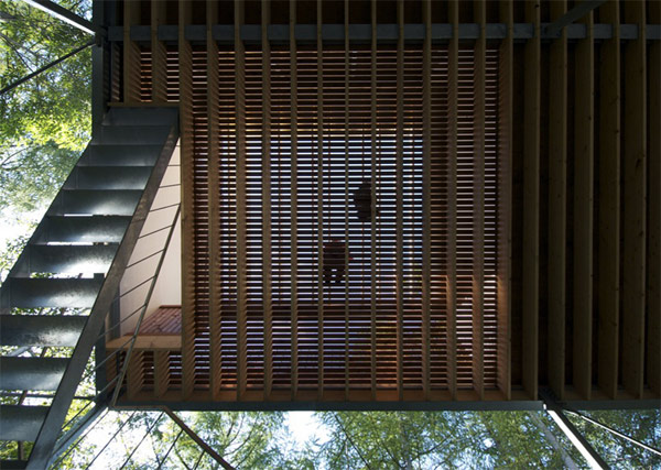 Pilotis in a forest, Go Hasegawa & Associates