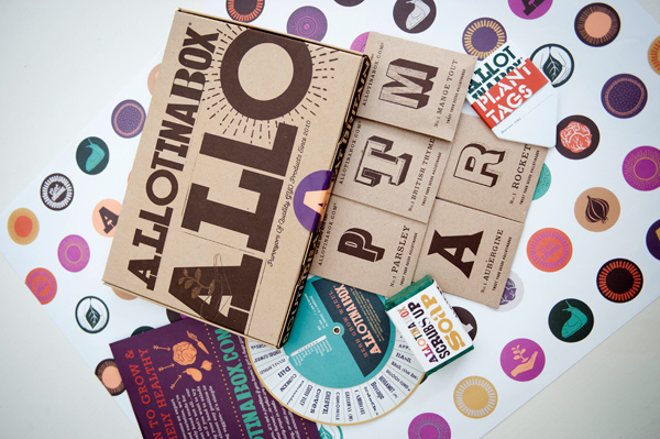 Allotinabox-
