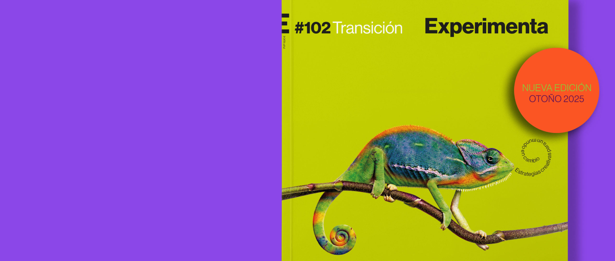 SLIDER-PRINCIPAL-EXP102-2