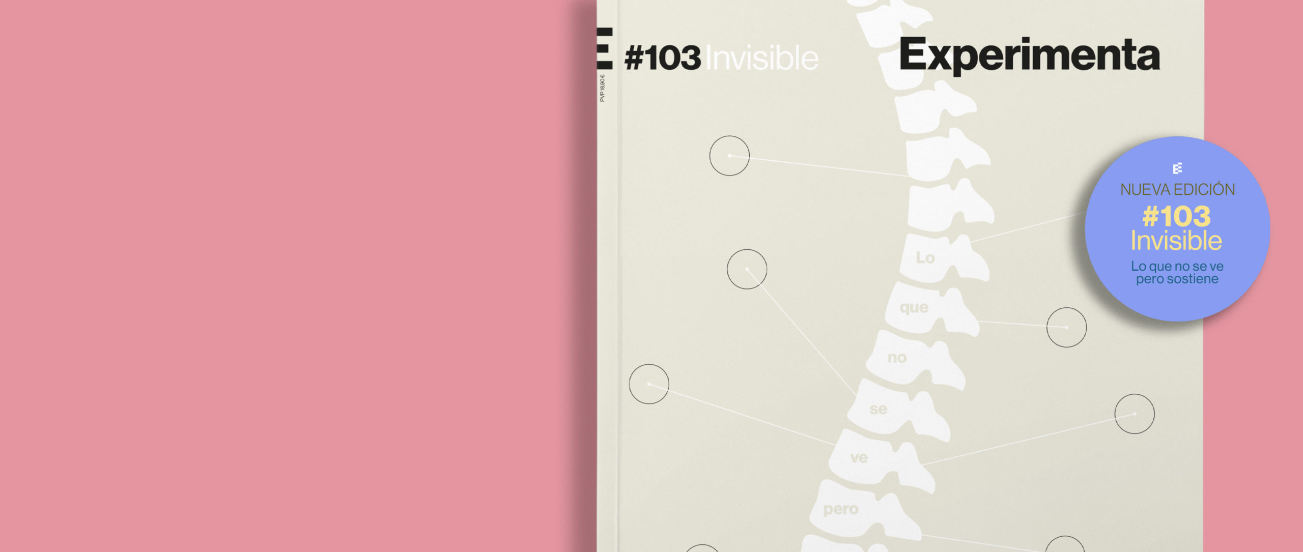 SLIDER-PRINCIPAL-EXP103