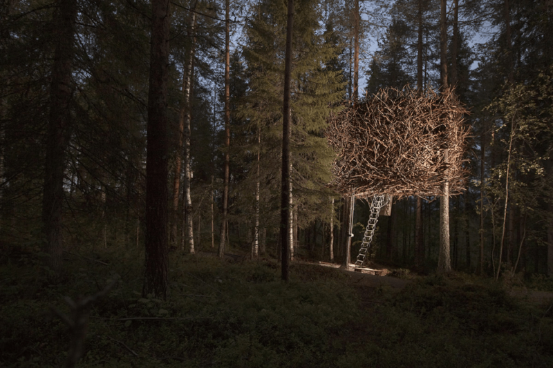 Treehotel, habitación con vistas al bosque ártico de Suecia