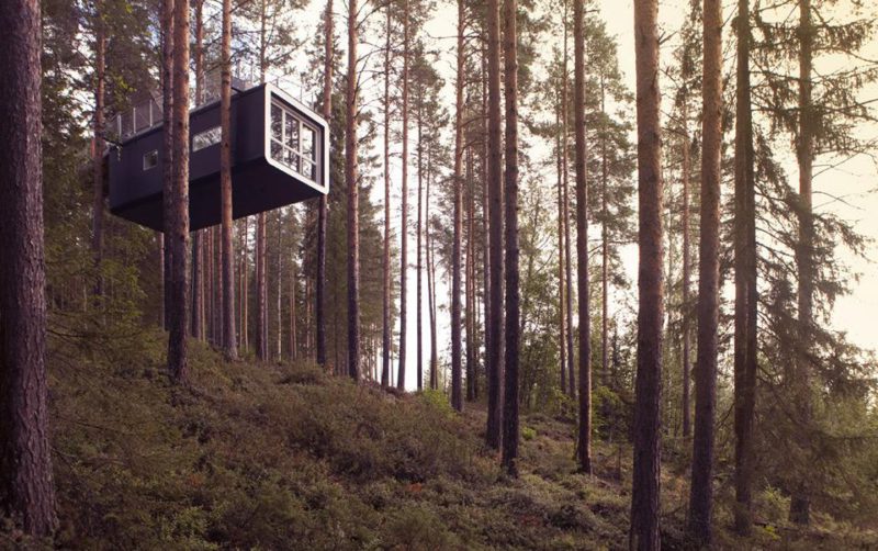 Treehotel, habitación con vistas al bosque ártico de Suecia