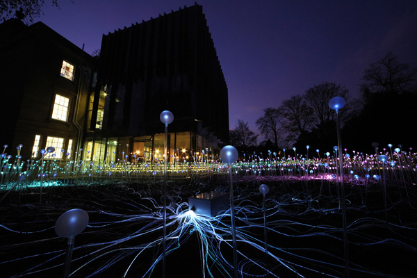 Field of Lights, instalación de luz de Bruce Munro