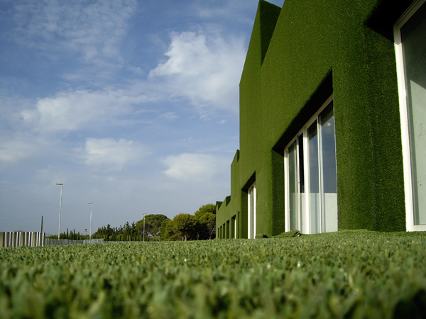 Los Cachimanes, la escuela vestida de verde del Estudio Huma