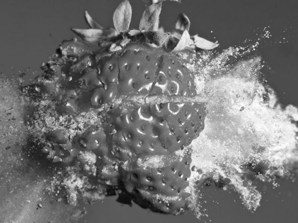 Alan-Sailer-Voyage-to-the-planet-of-frozen-strawberries.jpg