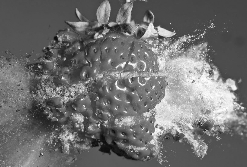 Alan-Sailer-Voyage-to-the-planet-of-frozen-strawberries.jpg