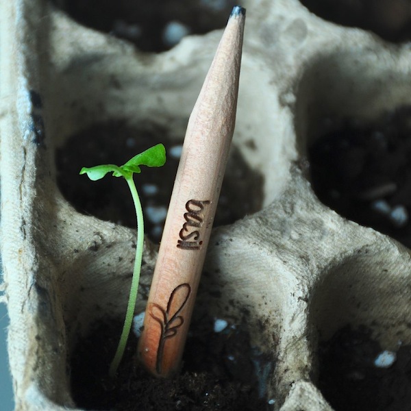 Srpout, un lápiz que quiere ser una planta