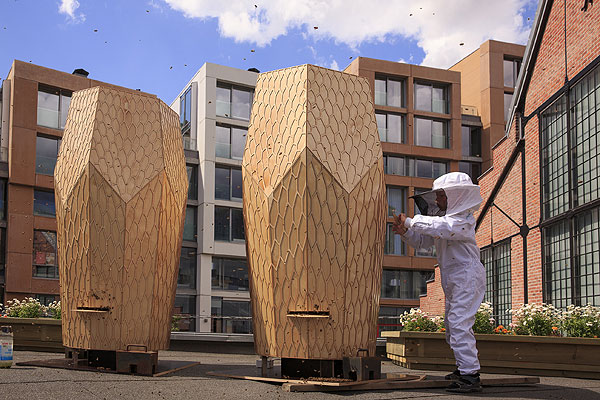 Vulkan Beehive, colmenas de madera por Snøhetta