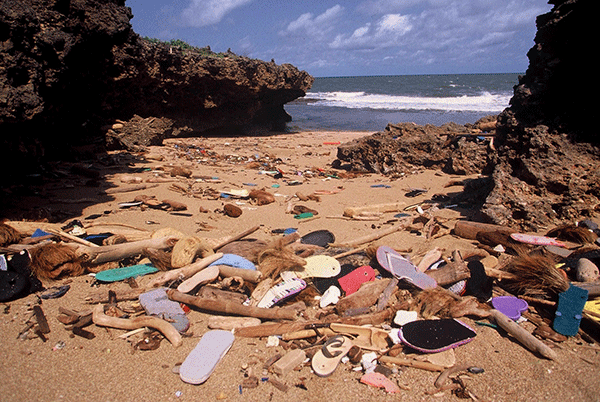 Ocean Sole, la creatividad al servicio del océano