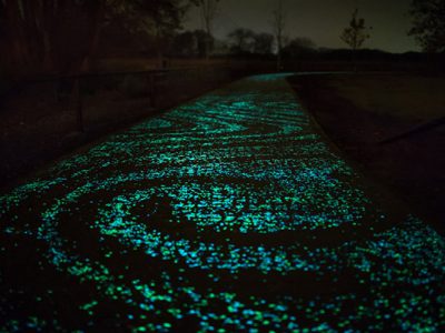 VanGogh-Roosegaarde por Daan Roosegaarde, 2014.