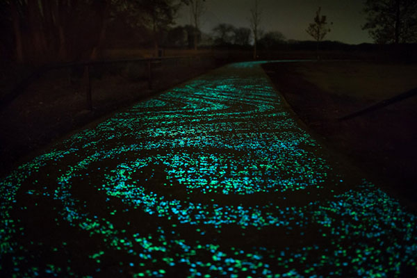 Van Gogh-Roosegaarde, el carril luminiscente para bicicletas