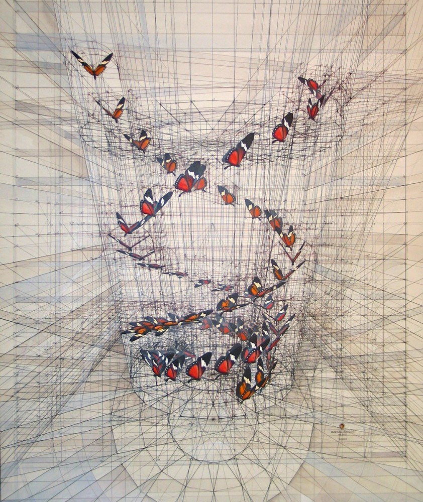 Rafael Araujo, Fibonacci y el vuelo de una mariposa