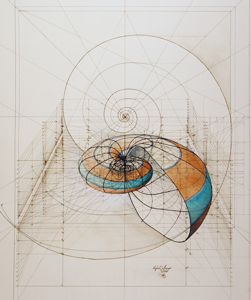 Rafael Araujo, Fibonacci y el vuelo de una mariposa
