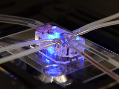 human-organs-on-chips-02.jpg