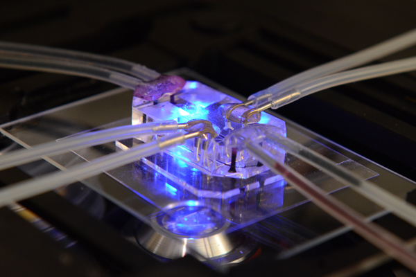 Organs-on-a-chip, ganador del Design of the Year Award 2015