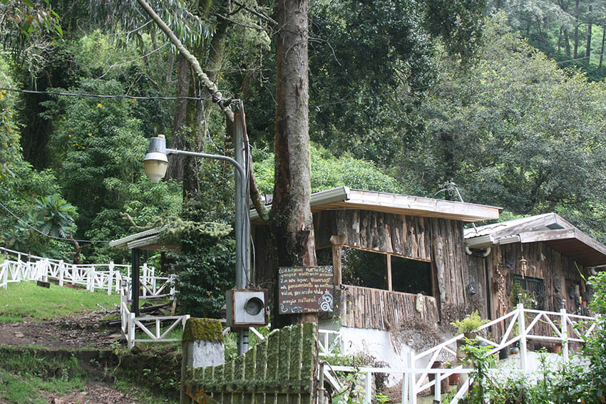 Sentarse al pie del árbol