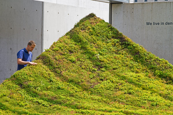 Green Varnish, instalación de Nomad Studio