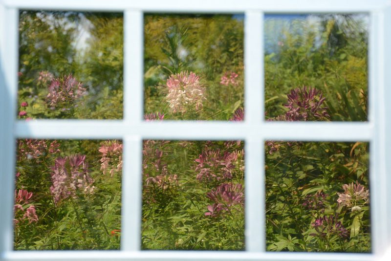 SolarWindow, SolarWindow Technologies, 2015. © Scott Hammond - NREL