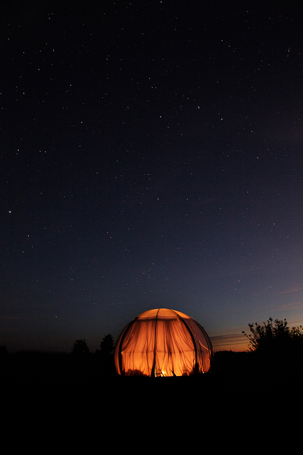 Oasis, Vytautas Puzeras, 2015. © Llamas Valley