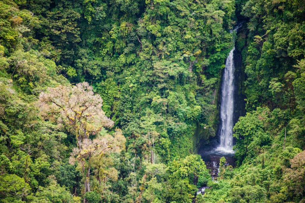 Una catarata en la montaña. © Fundación Árboles Mágicos.