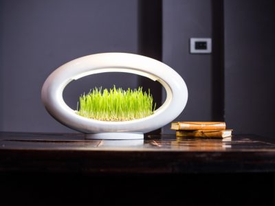 Grasslamp, Marko Vuckovic, 2015.