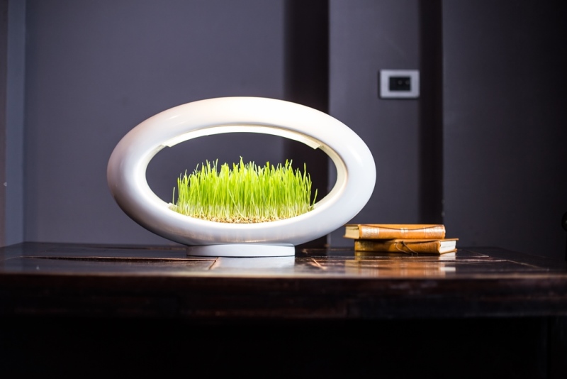 Grasslamp, Marko Vuckovic, 2015.