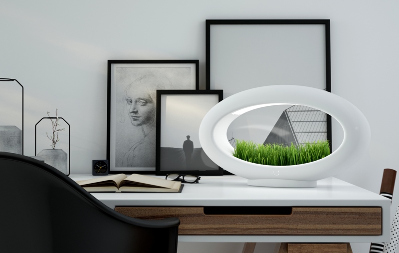 Grasslamp, Marko Vuckovic, 2015.