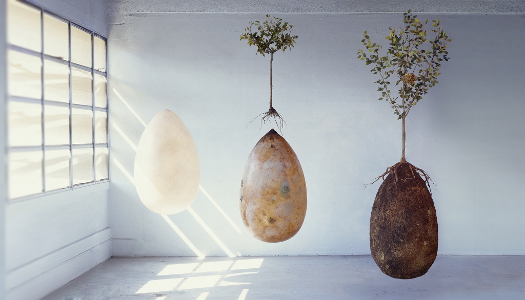 Capsula Mundi, el árbol de la vida de Raoul Bretzel y Anna Citelli