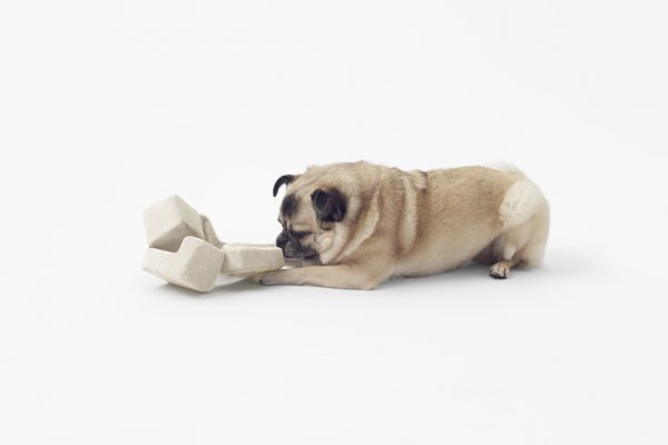 Cubic Pet Goods, Nendo, 2016.