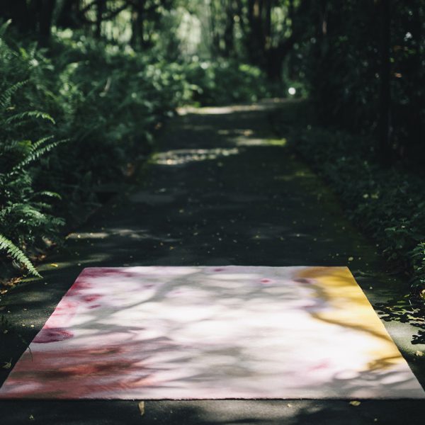 La exploración de la selva tropical, una alfombra como puerta hacia el jardín secreto, The Tropicals, The Rug Makers and Outofstock, 2016.